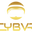 CYBVR logo
